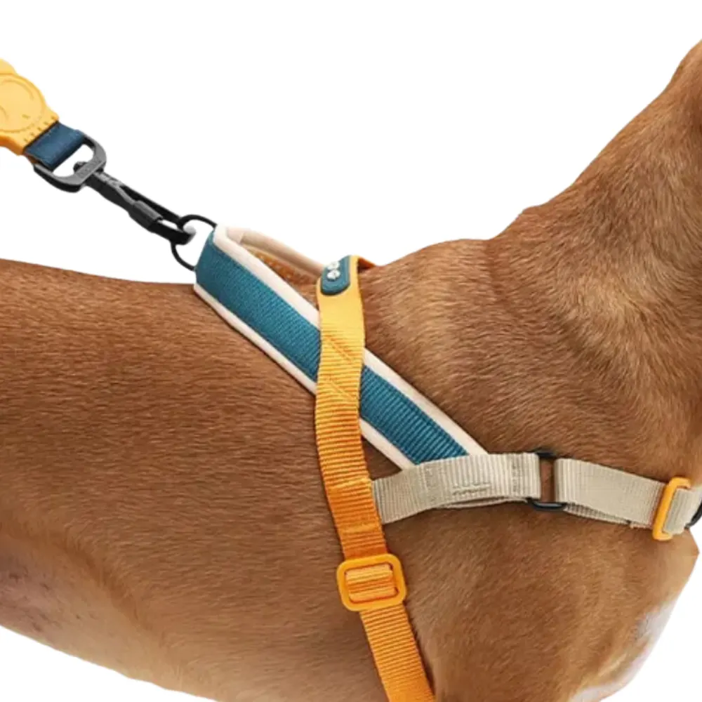 Peitoral Zee Dog Antipuxão Softer Walk Para Cachorros Voyage