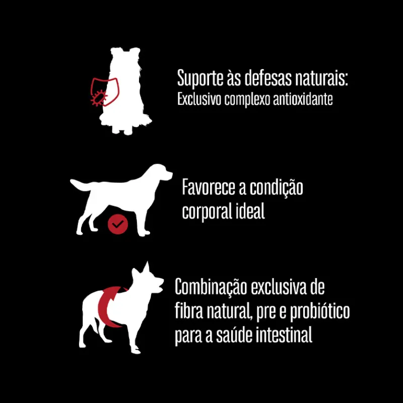 Ração Equilíbrio para Cães Adultos de Médio Porte Sabor Carne 12 Kg