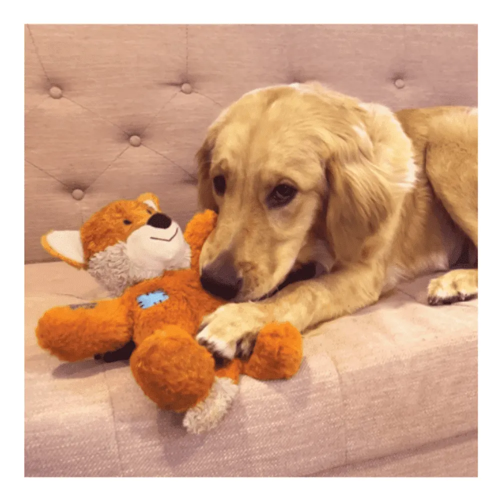 Brinquedo Kong Tigre Para Cães -  Pequeno/Médio
