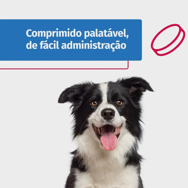 Onsior para Cães 20 mg