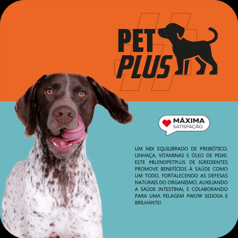 Ração Max Cães Adultos Médio Grande Carne Frango Arroz