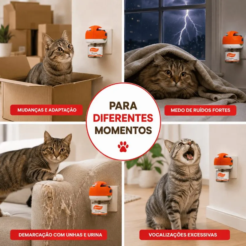 Difusor Felino Serenex Feromônio Gatos König 42ml Com Refil