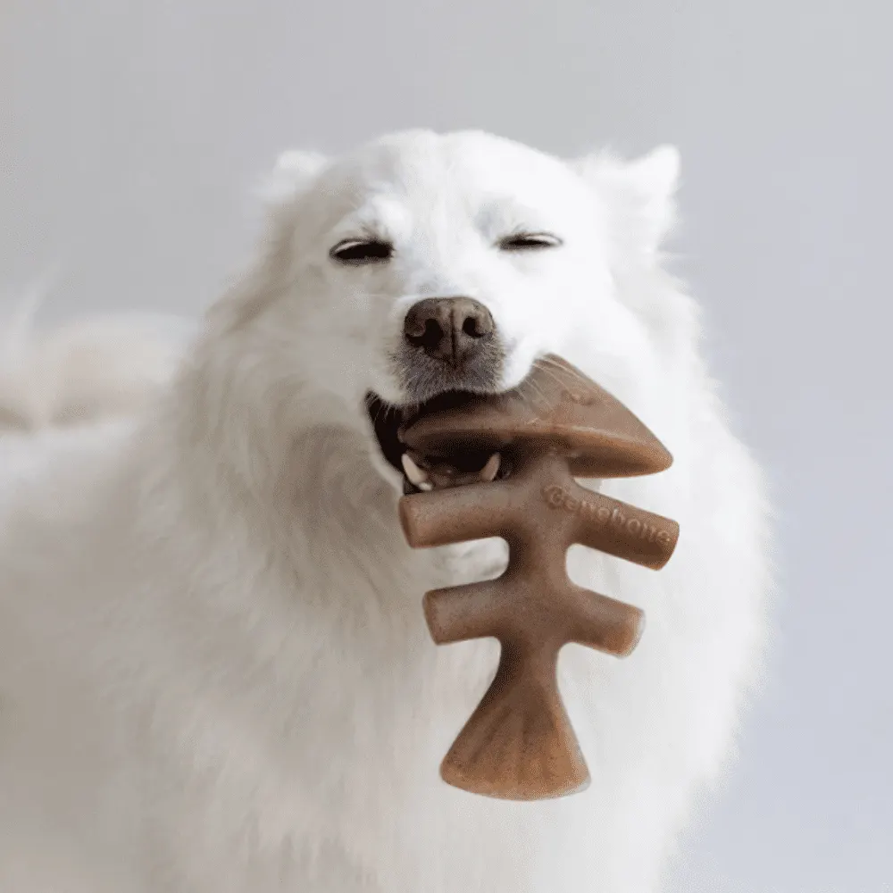 Brinquedo Cães Roer Benebone Fishbone Grande