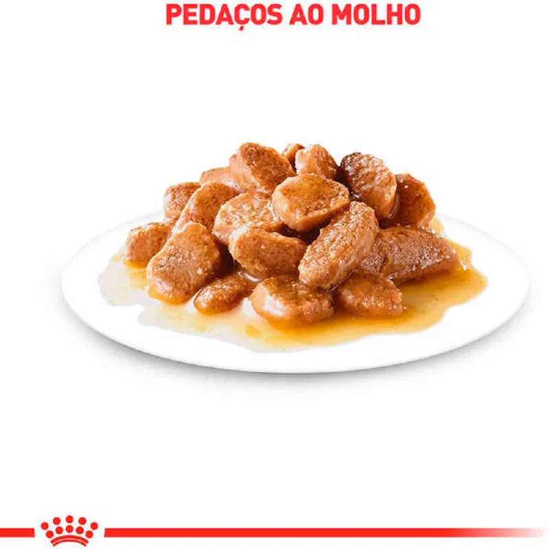 Ração Úmida Royal Canin Mini Adult Cães Adultos Porte Pequeno 85g