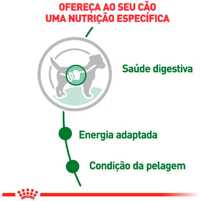 Ração Úmida Royal Canin Mini Adult Cães Adultos Porte Pequeno 85g