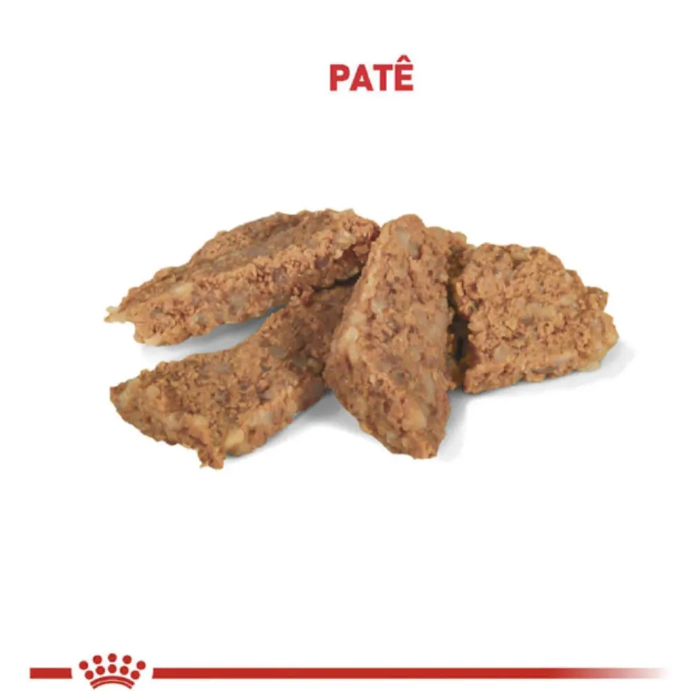Ração Royal Canin Veterinary Diet Gastrointestinal  Lata 400 g