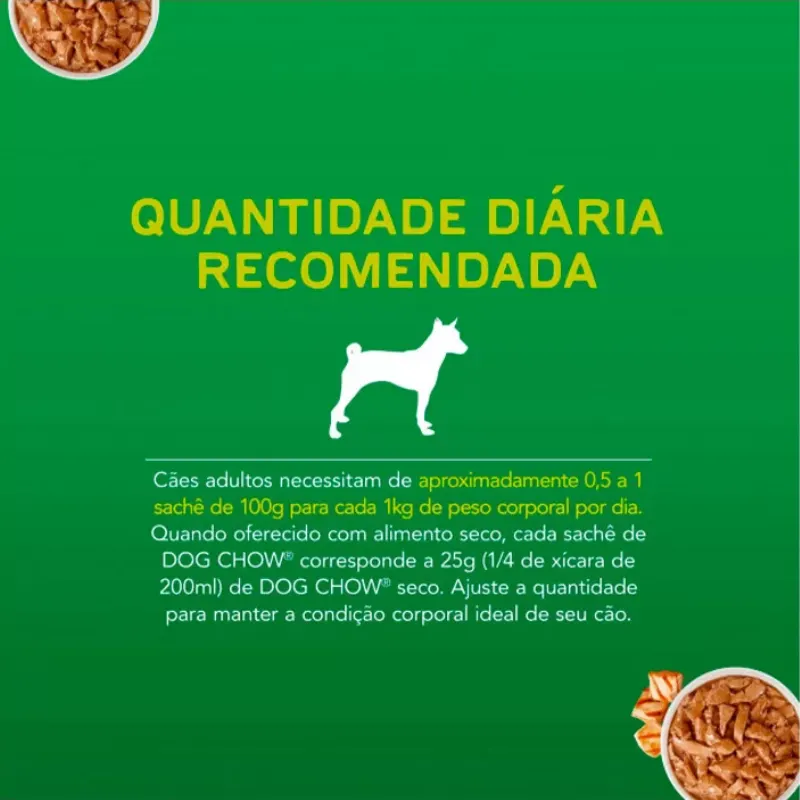 Dog Chow Sachê Para Cães Adultos Sabor Frango 100 g