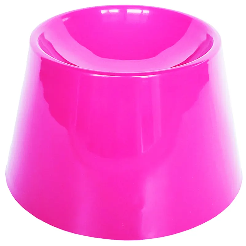 Cat Eat Rosa Pet Games