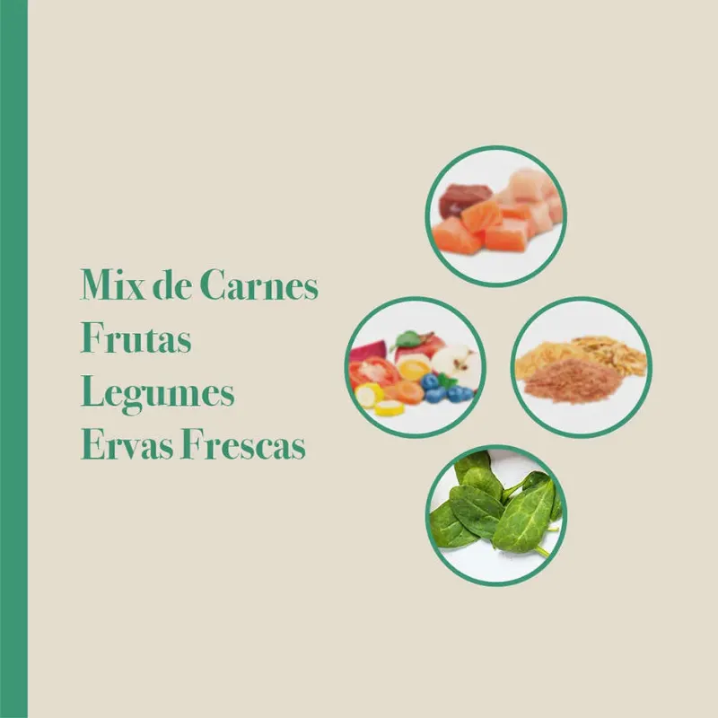 Ração Biofresh Cão Adulto Grande Gigante Mix Carnes