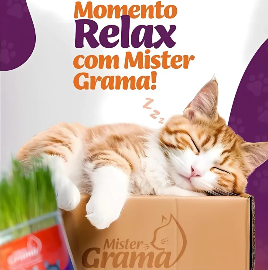 Mister Grama