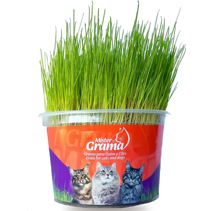 Mister Grama