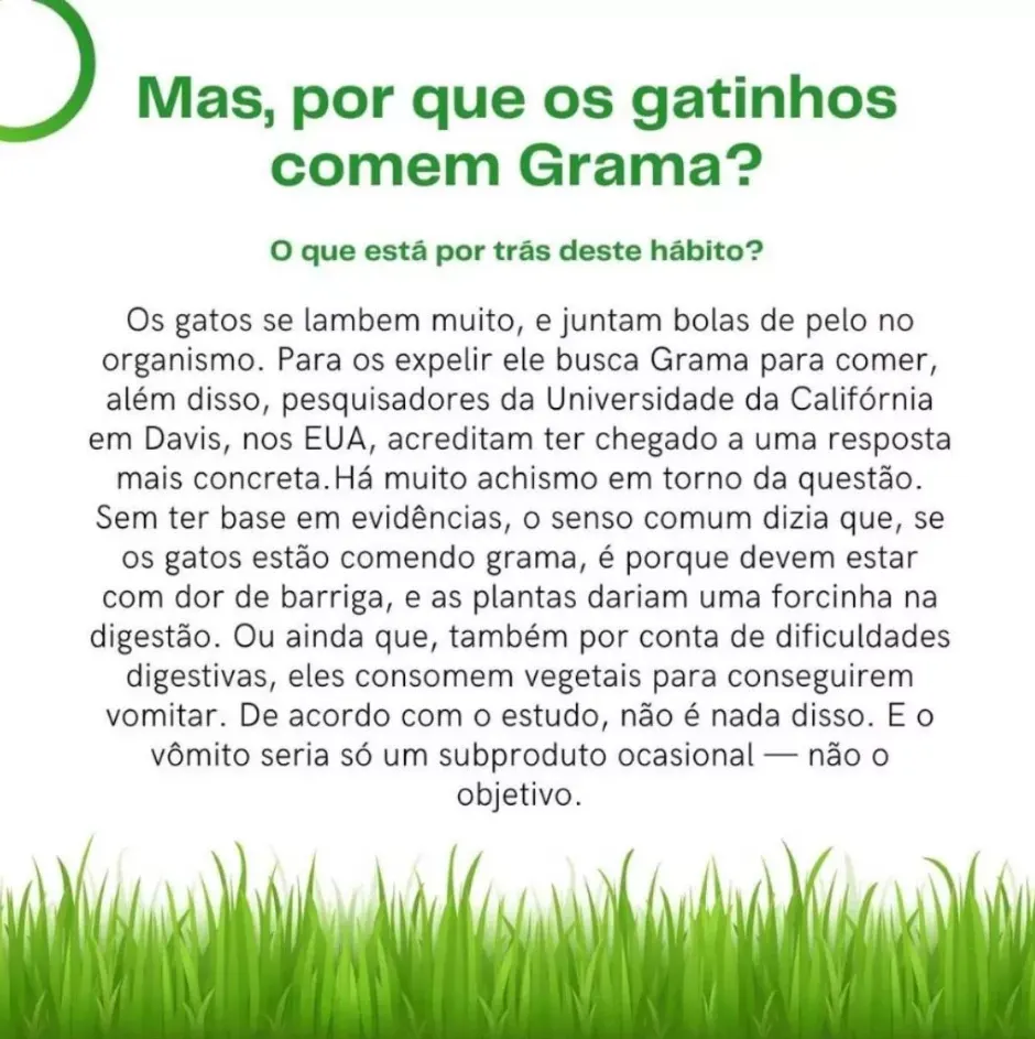 Mister Grama