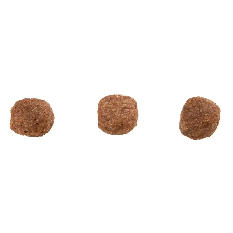 Ração Guabi Natural Cão Adulto Mini e Pequeno Frango e Arroz