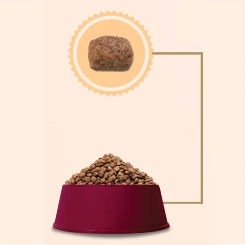 Ração GranPlus Menu Cães Adultos Mini Carne e Arroz