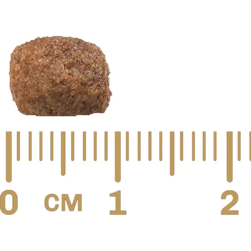 Ração GranPlus Menu Cães Adultos Mini Carne e Arroz