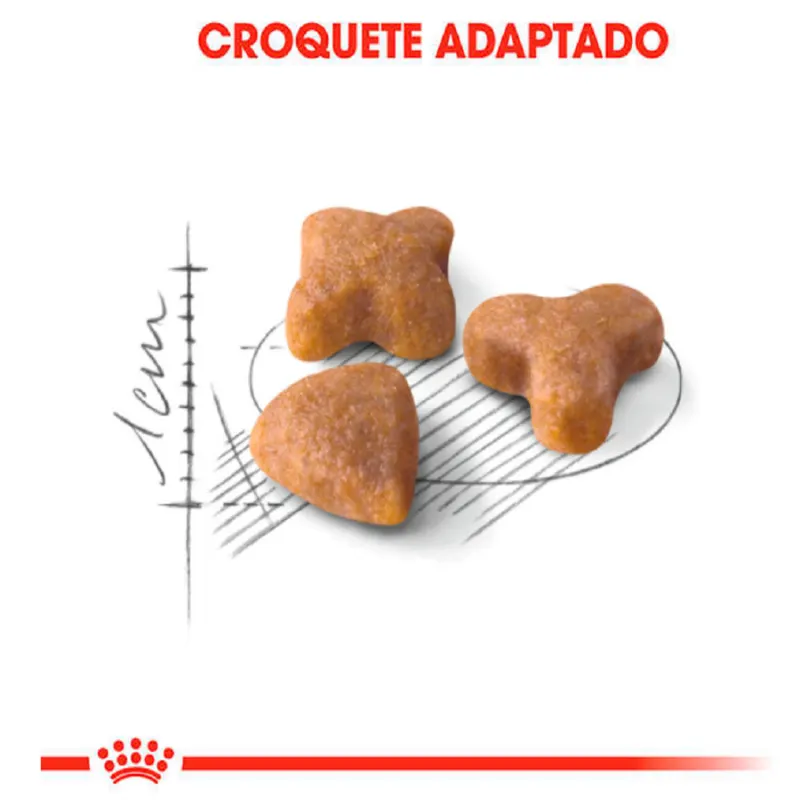 Ração Royal Canin Sensible para Gatos Adultos  1,5 Kg