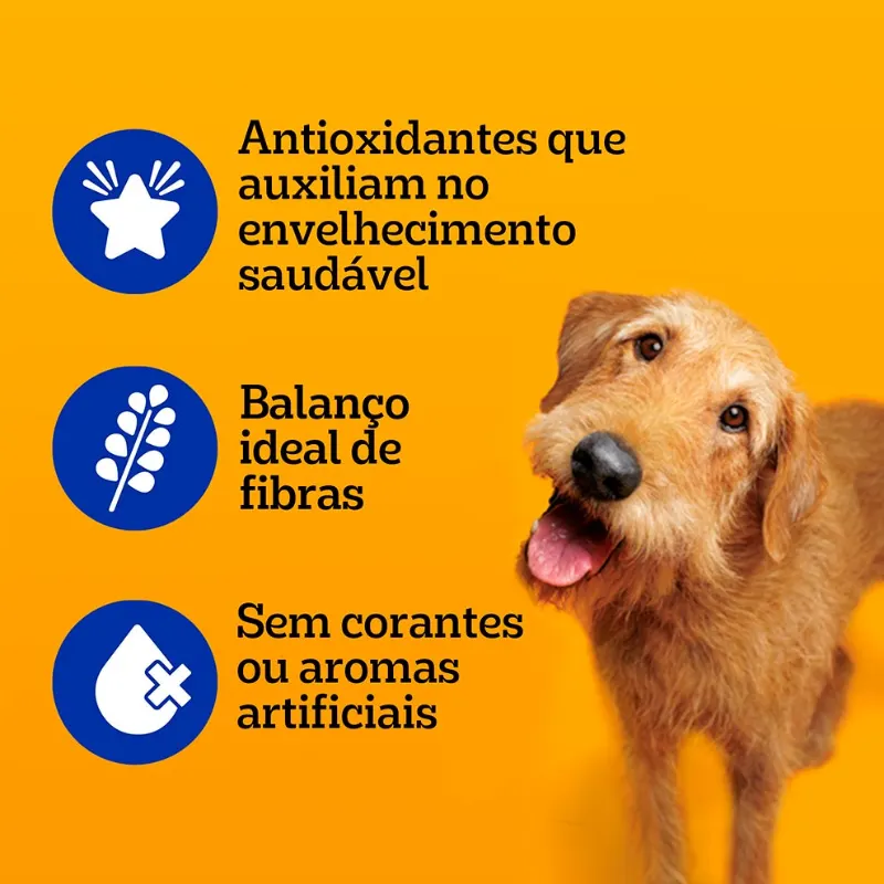 Sache Pedigree Carne ao Molho para Cães Sênior  100 g
