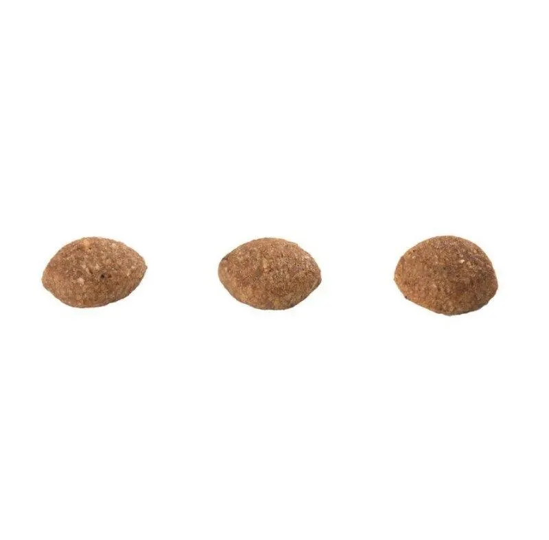 Ração G Natural Gatos Adultos Castrados Cordeiro&Ave 1,5kg