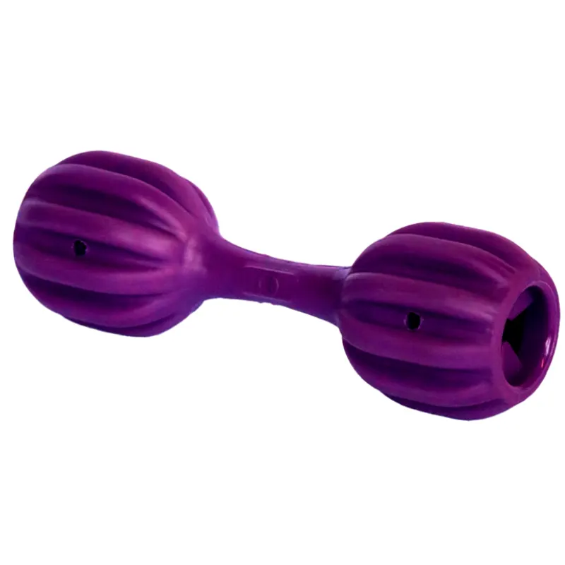 Brinquedo Amicus Fun Toys pet Fit Roxo G