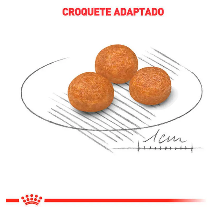 Ração Royal Canin XSmall para Cães Adultos
