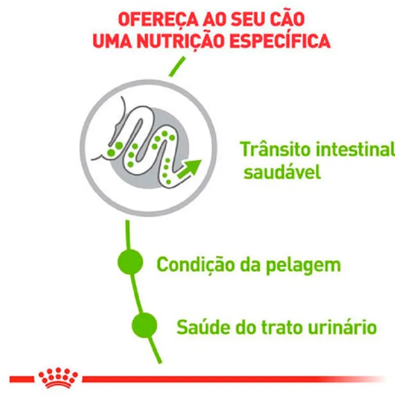 Ração Royal Canin XSmall para Cães Adultos