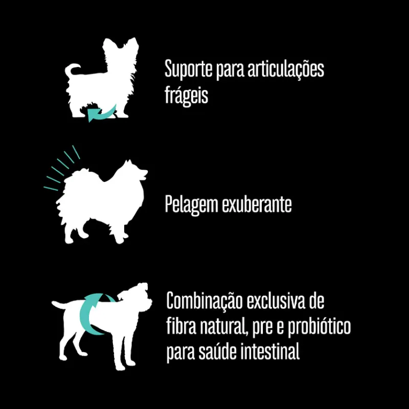 Ração Equilíbrio Spitz Cães Adultos Porte Mini Pequeno Sabor Frango 2,5 Kg