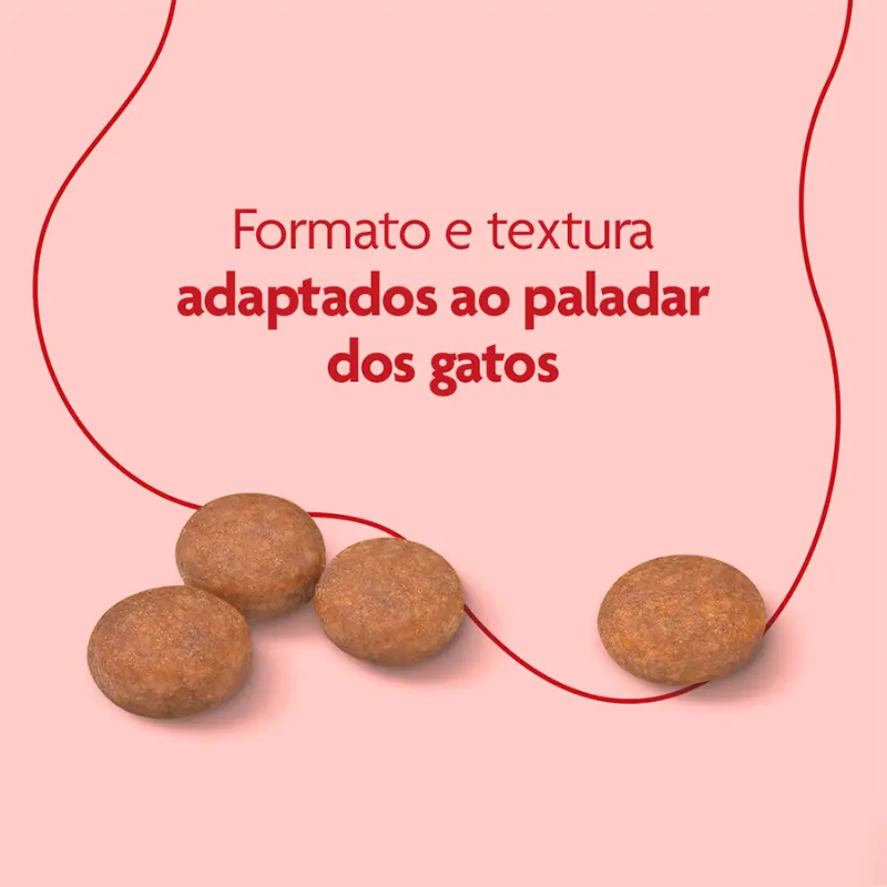 Ração Royal Canin Premium Cat para Gatos Adultos Castrados 1 Kg