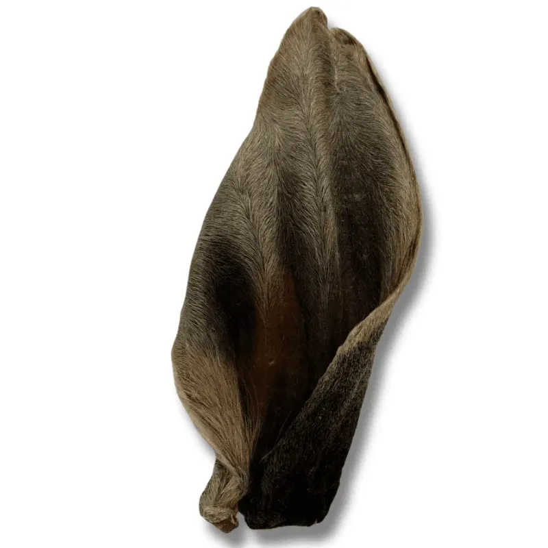 Orelha Bovina The Bull 1 Un