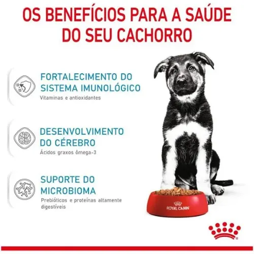 Ração Royal Canin Maxi Jr para Cães Filhotes Raças Grandes 15kg