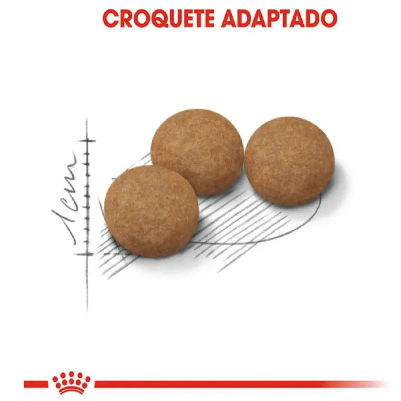 Ração Royal Canin Castrados 12+ Gatos Adultos 400g