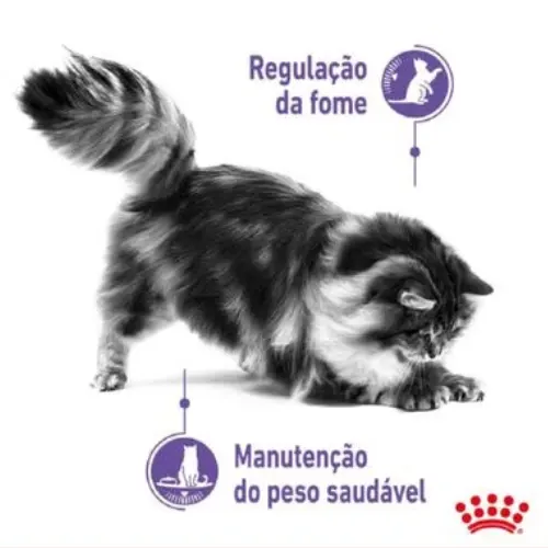 Ração Royal Canin Controle do Apetite Gatos Adultos 400 G