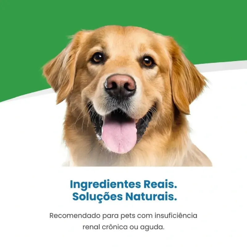 Ração Úmida Vet Life Canine Renal 300 g