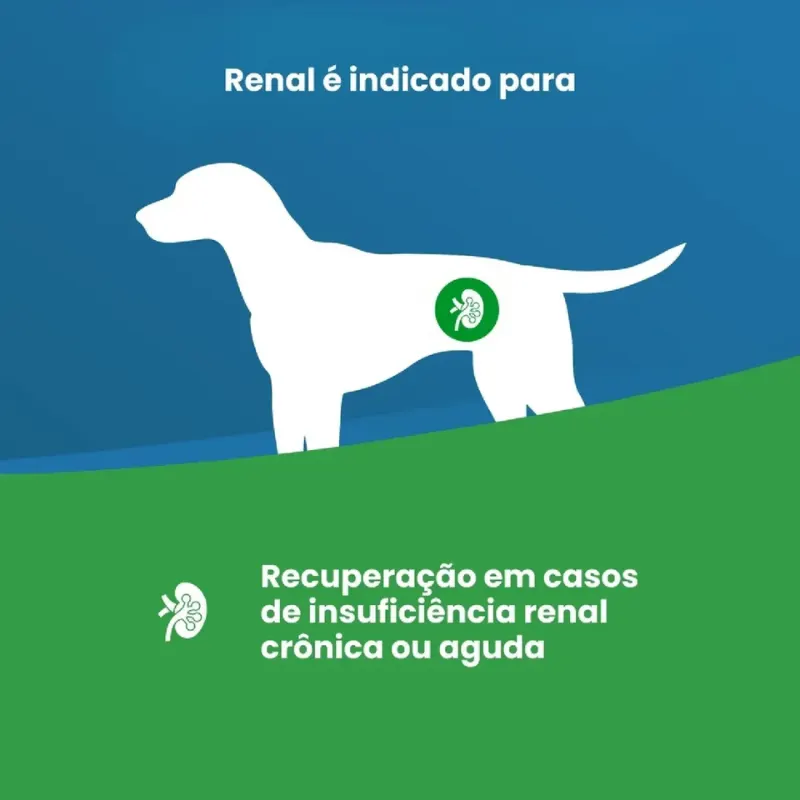 Ração Úmida Vet Life Canine Renal 300 g