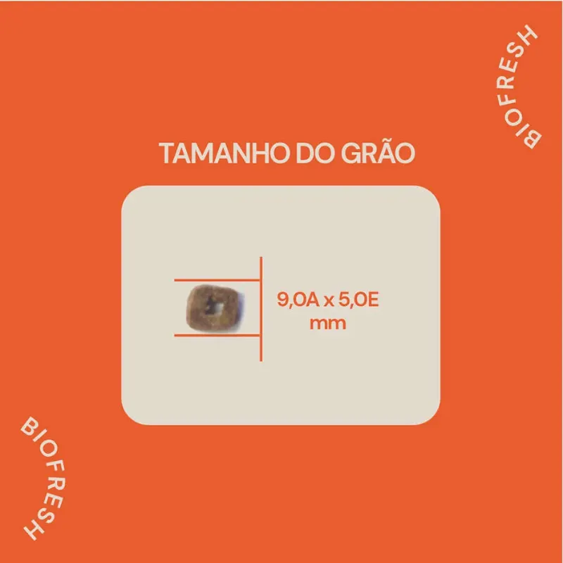 Ração Biofresh Cão Adulto Light Pequena e mini Mix Carne
