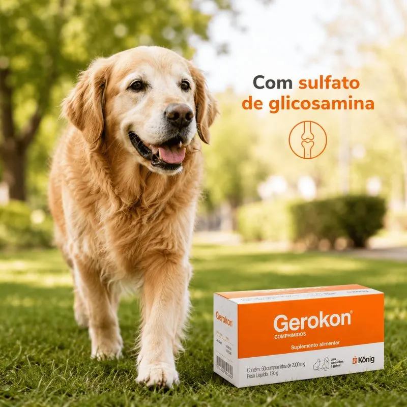 Suplemento Alimentar Gerokon 60 Comprimidos 2000 mg König