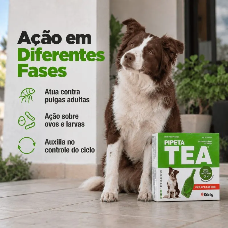 Pipeta 3x Tea para Cães de 10,1 a 25 kg König