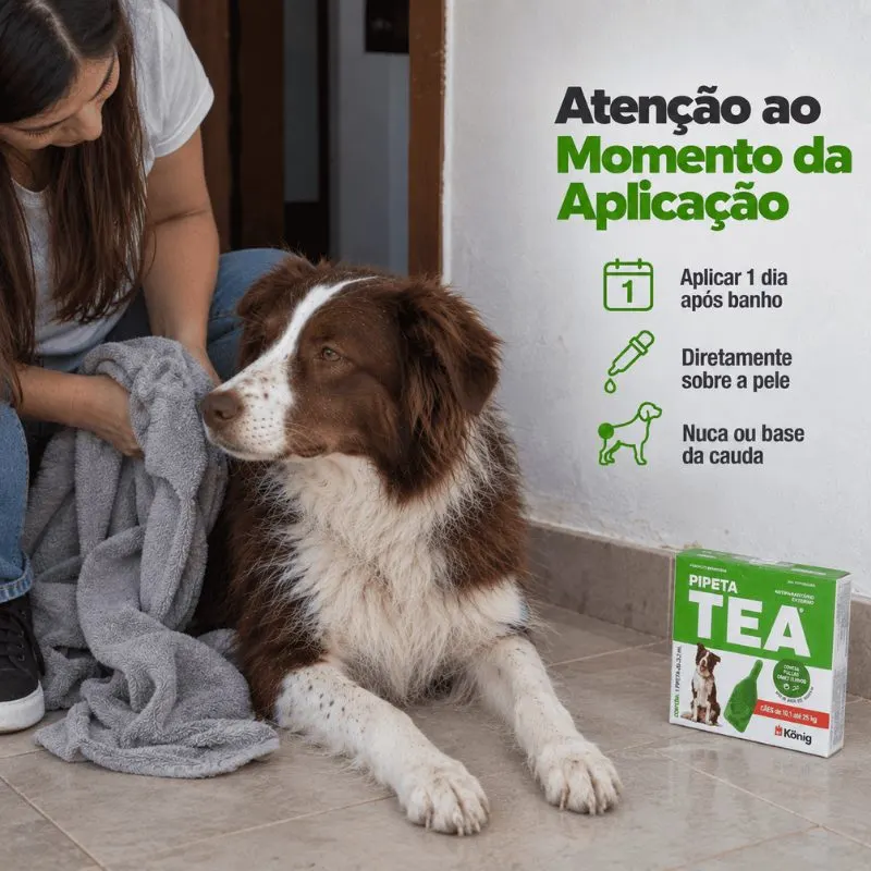 Pipeta 3x Tea para Cães de 10,1 a 25 kg König