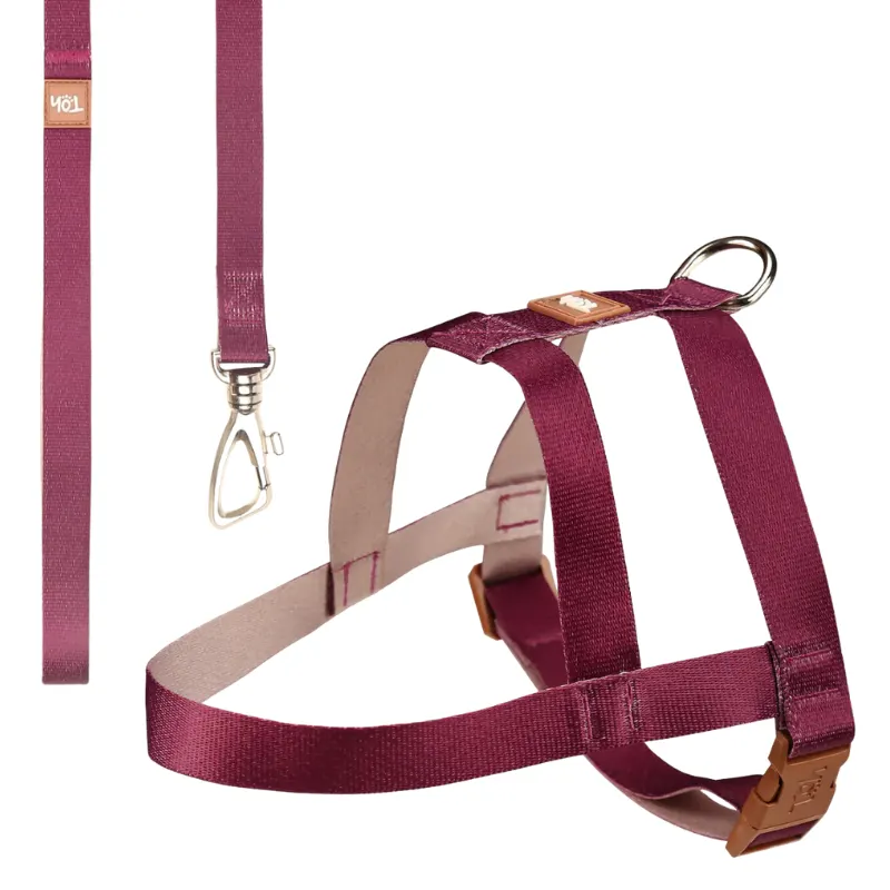 Conjunto Peitoral Toh Tradicional + Guia Pop Bordo-Caqui