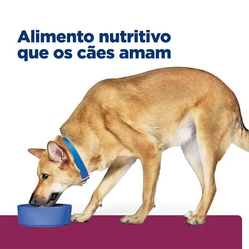 Ração Hill`s Gastrointestinal Pedaços Pequenos para Cães 3,17 Kg