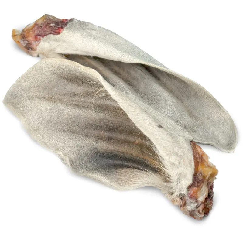 Orelha Bovina Inteira 2 un