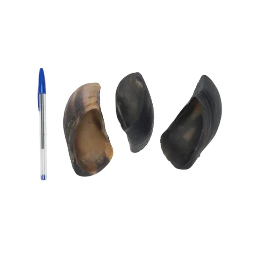 Mastig Casco Bovino com 1 unidade