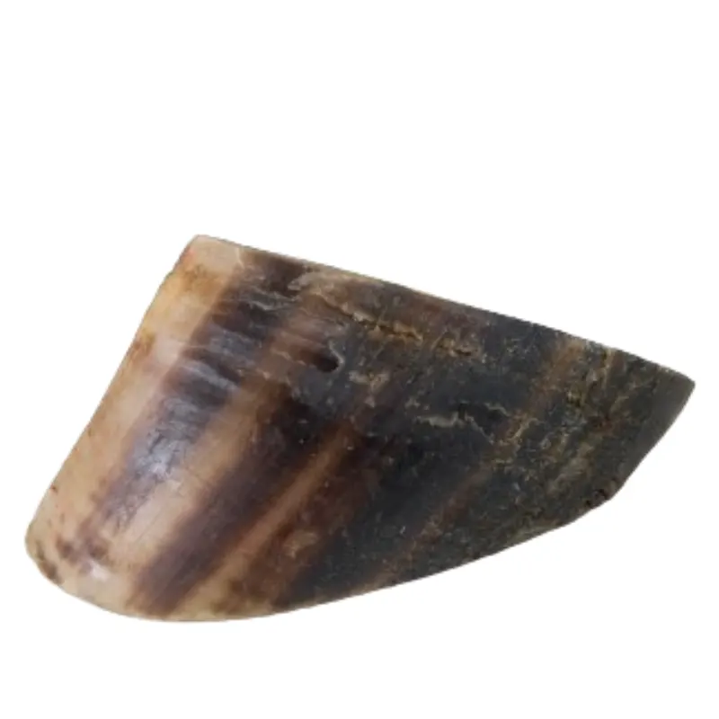 Mastig Casco Bovino com 1 unidade