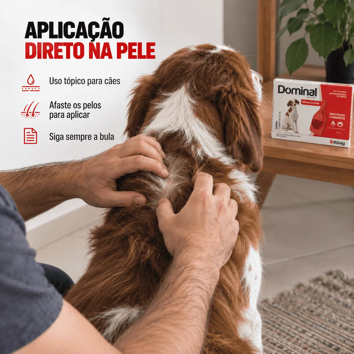 DOMINAL PIPETAS CAES 10,1 ATE 25 KG 2,5 ML
