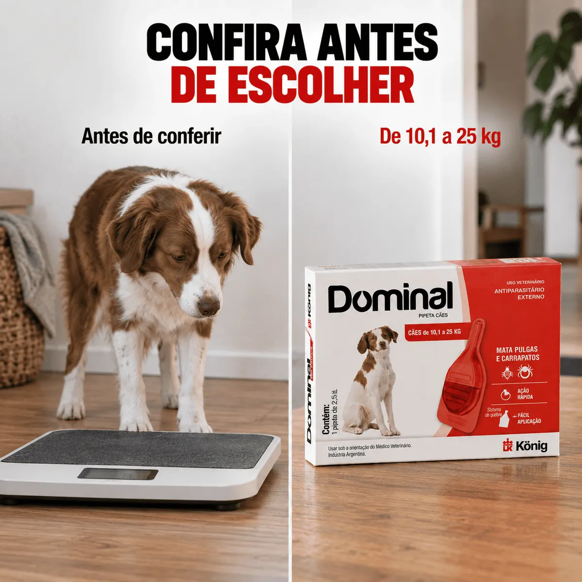 DOMINAL PIPETAS CAES 10,1 ATE 25 KG 2,5 ML