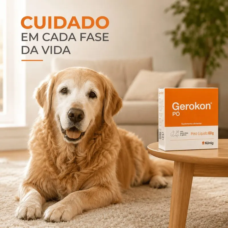 Suplemento Alimentar Gerokon em Pó 60 g König