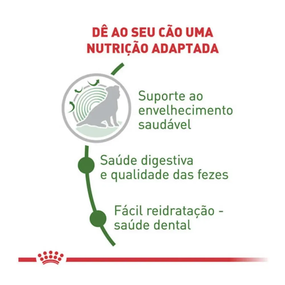 Ração Royal Canin Mini Indoor Sênior Cães 1 Kg