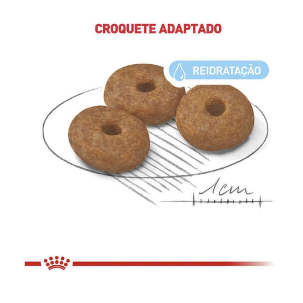 Ração Royal Canin Mini Indoor Sênior Cães 1 Kg