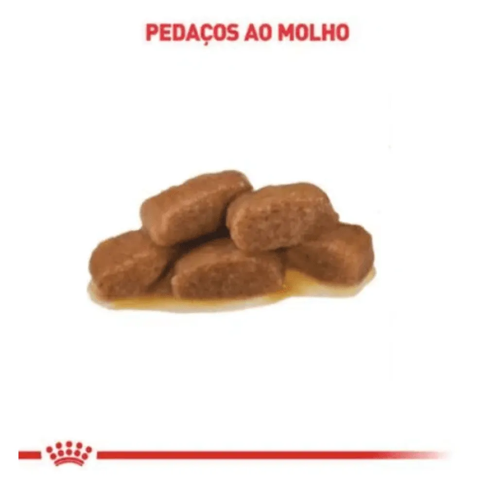 Ração Úmida Royal Canin Gastrointestinal Gatos Adultos 85g