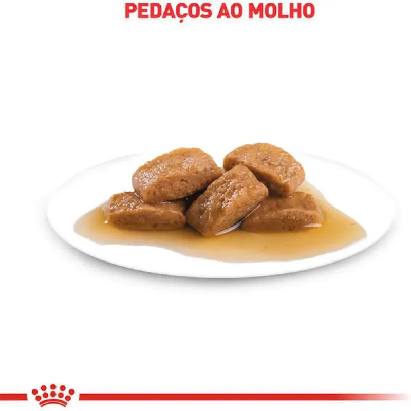 Ração Úmida Royal Canin Urinary S/O Gatos Adultos 85 g