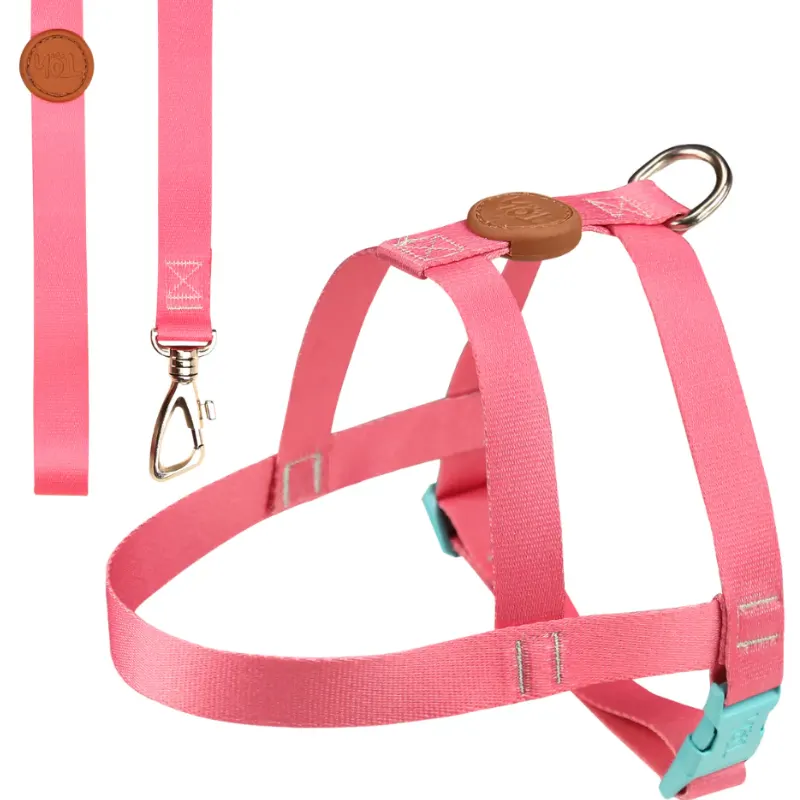 Conjunto Peitoral Tradicional + Guia Fiji